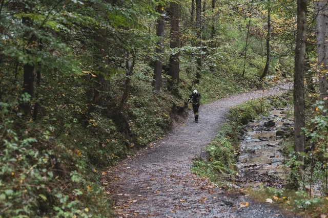 Teilnehmer auf einem schmalen Weg im Wald.