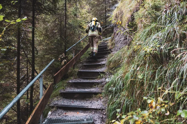 Teilnehmer in beiger Einsatzkleidung auf einer Treppe im Herbstwald.
