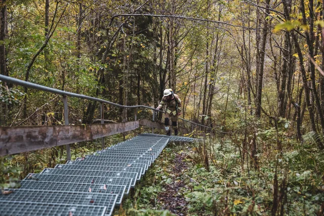 Teilnehmer in beiger Einsatzkleidung auf einer Metalltreppe zwischen Bäumen.